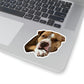 111-9685402-9857044_33-removebg-preview