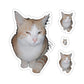 112-4085404-2814623_44_-removebg-preview