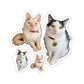Copy of Copy of Copy of Copy of Kiss-Cut Stickers 113-8668080-6123457