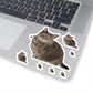 Untitled-1.png  113-6605383-8749861 1