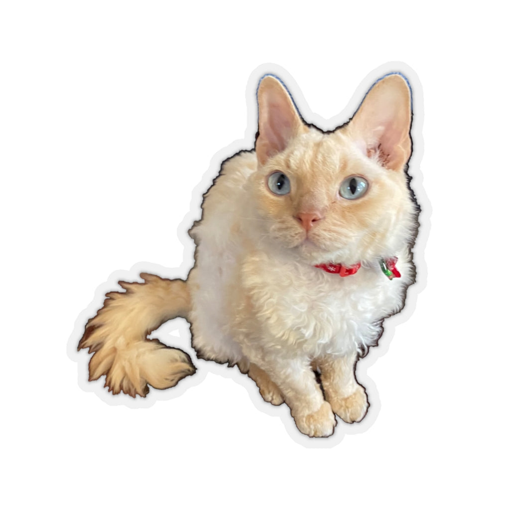Copy of Copy of Copy of Copy of Copy of Kiss-Cut Stickers 113-8668080-6123457