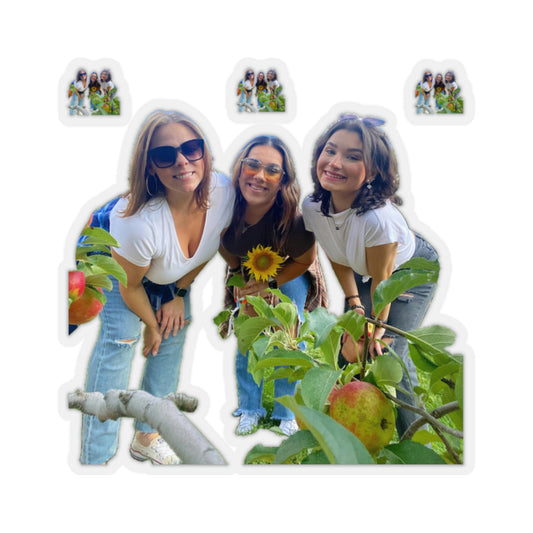 112-7514168-4331419_22-removebg-preview