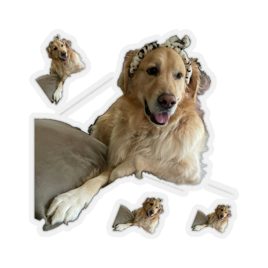 111-5371430-0914635_22-removebg-preview
