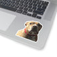 111-9685402-9857044_33_1-removebg-preview