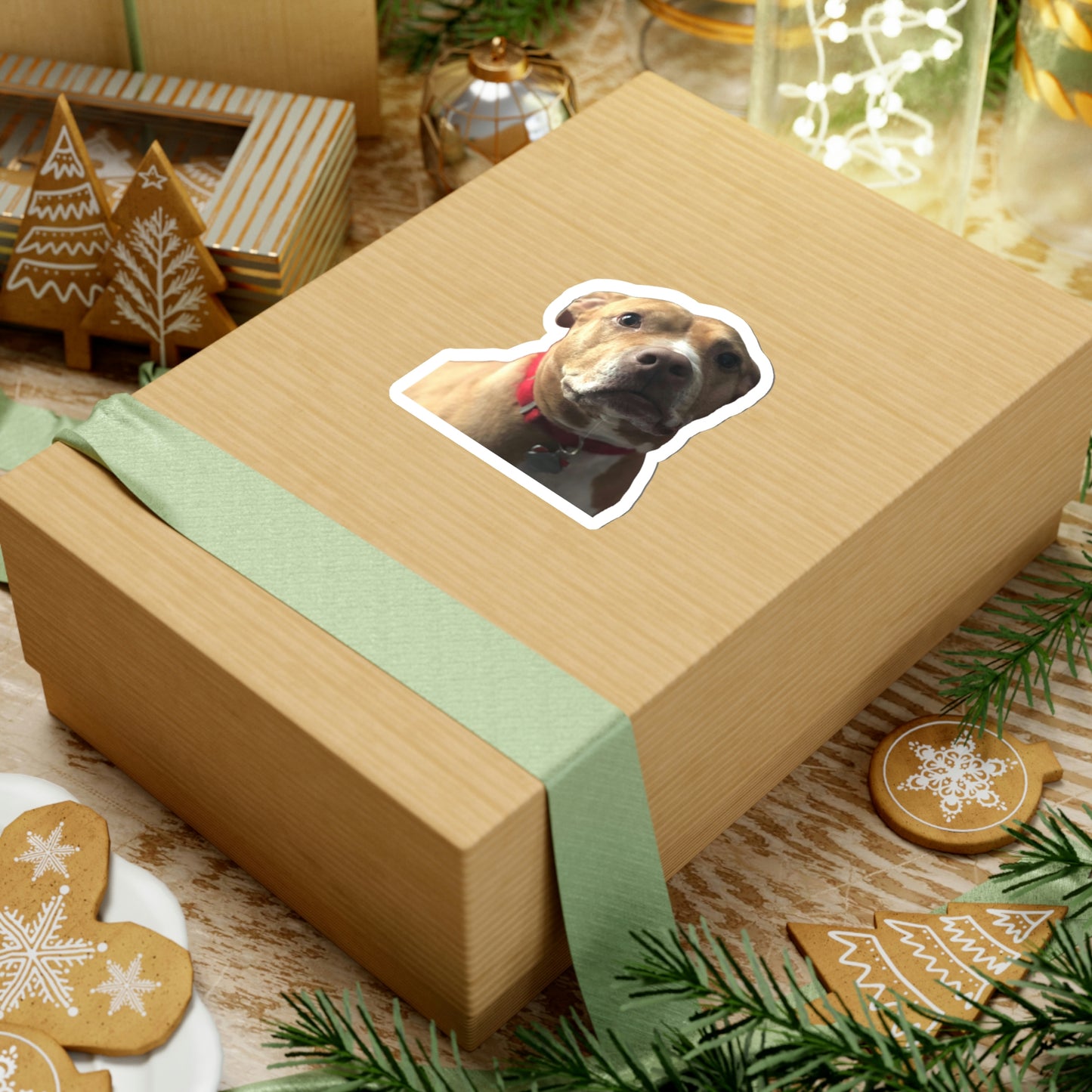 111-9685402-9857044_33_1-removebg-preview