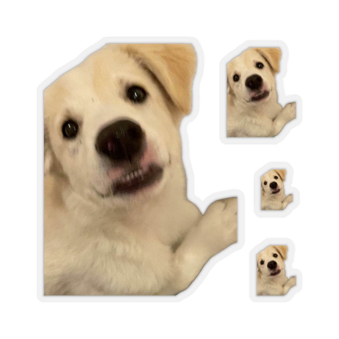 112-6340302-6108247_22-removebg-preview
