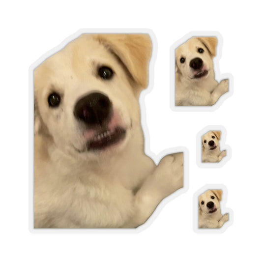112-6340302-6108247_22-removebg-preview