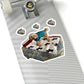 111-8987226-2474630_6x6-removebg-preview