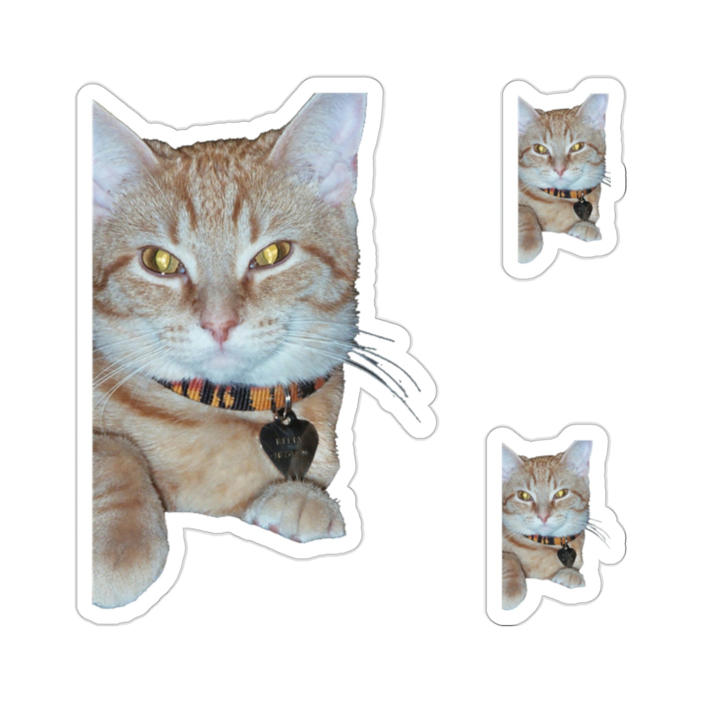 111-5280013-1490637_2x2-removebg-preview