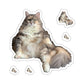 113-8942228-5586619_3x3-removebg-preview