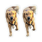 114-8604173-6885008_33-removebg-preview