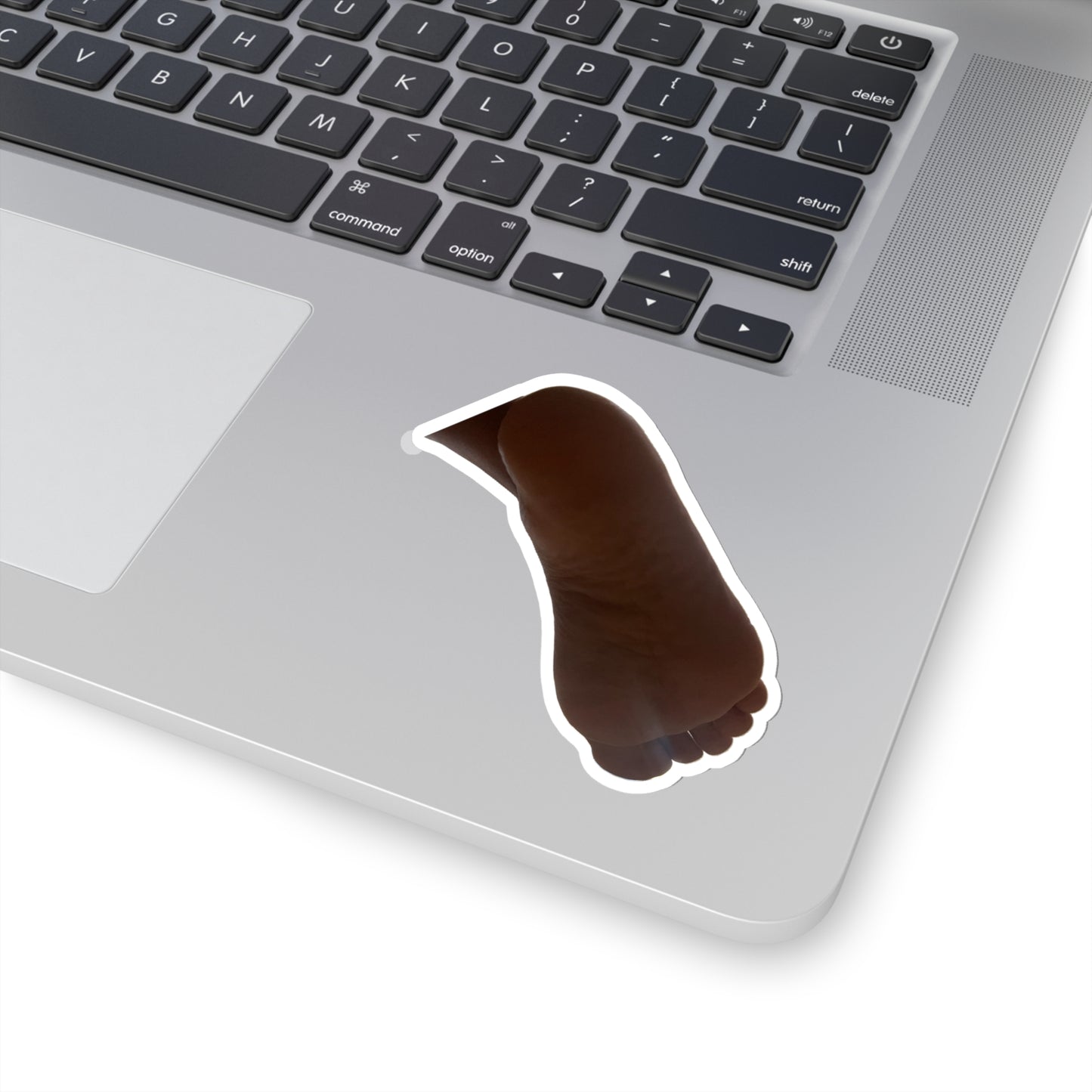 1Z7R44E20372781351_33_44_2cai-removebg-preview