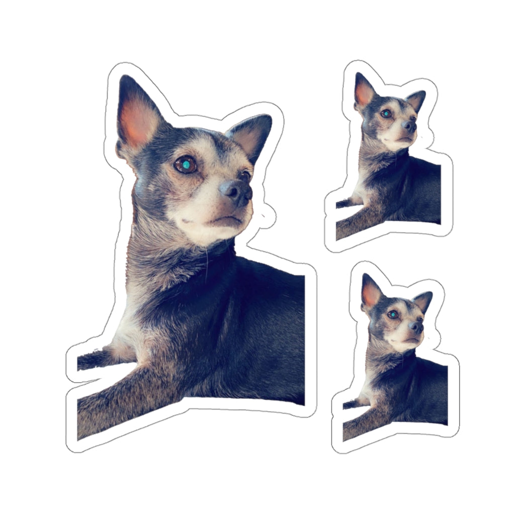 114-8778438-2105049 1sticker