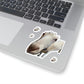 112-5679649-6061866_3x3-removebg-preview