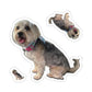 111-5371430-0914635_22_1-removebg-preview