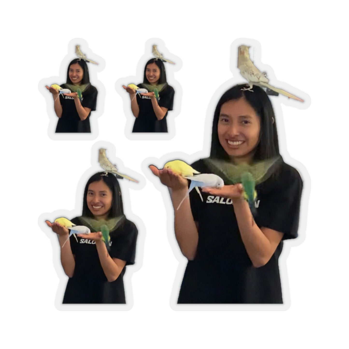 114-0931139-2654647 22 1.png