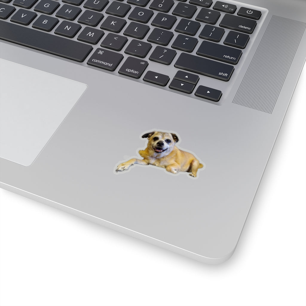 Copy of Kiss-Cut Stickers  114-4855535-9516209