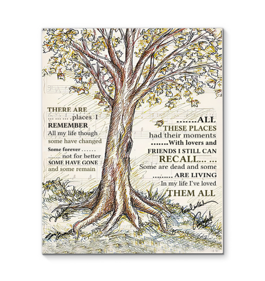 In My Life Lyrics There are places I remember - Home Canvas Framed Poster (16x20)
